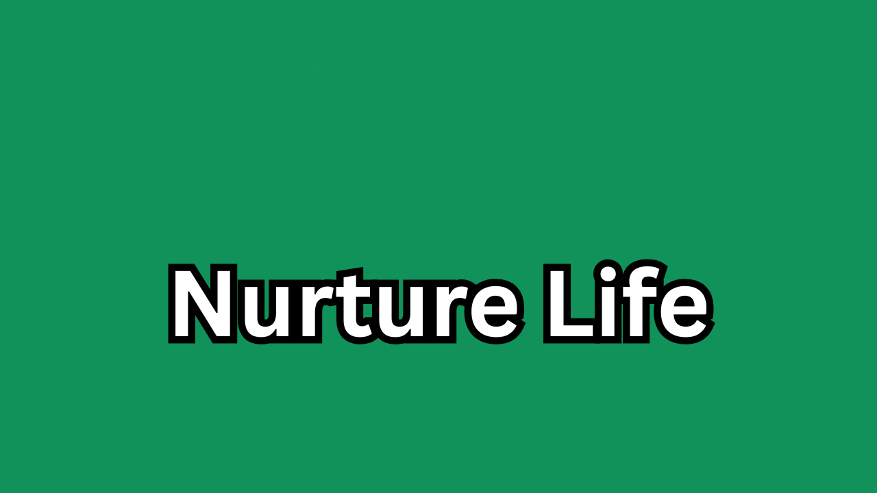 Nurture Life: A Complete Guide to Healthy Kids Meals for Busy Families